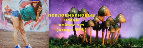 шишки Алексеевка