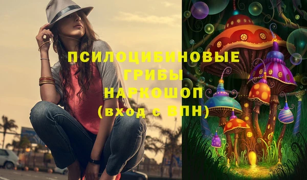 ешки Абинск
