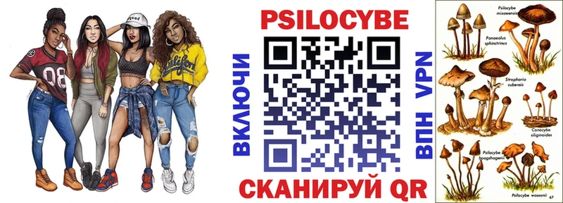 Галлюциногенные грибы Psilocybine cubensis  Ряжск 