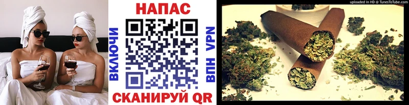 Конопля гибрид  Ряжск 